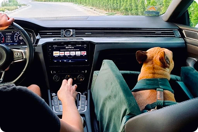 Autosedačka pro psa